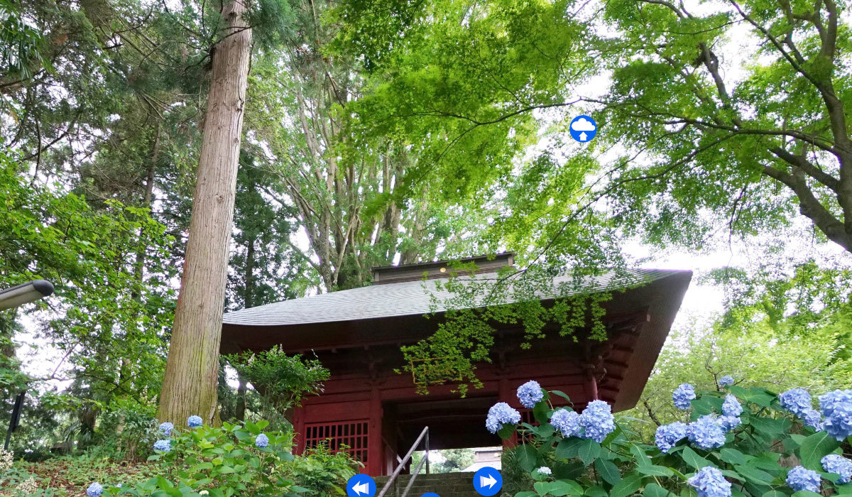 牛久市の季節おすすめ観光スポットの観音寺の紅葉と黄葉