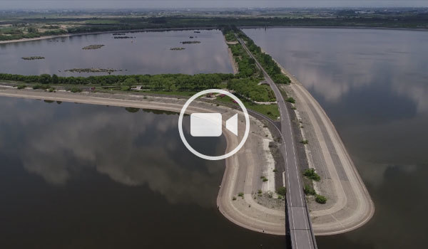 古河市隣接観光名所の渡良瀬遊水池の空撮動画