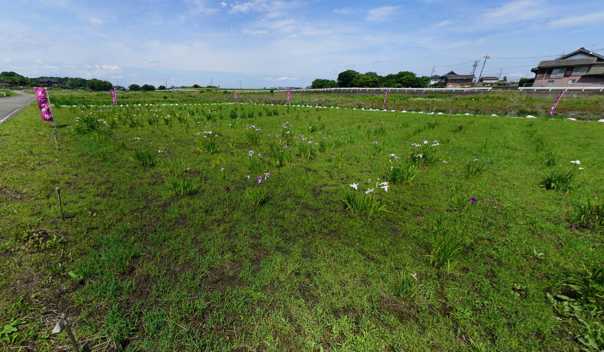 結城市おすすめ季節観光スポットの山川不動尊・あやめ園