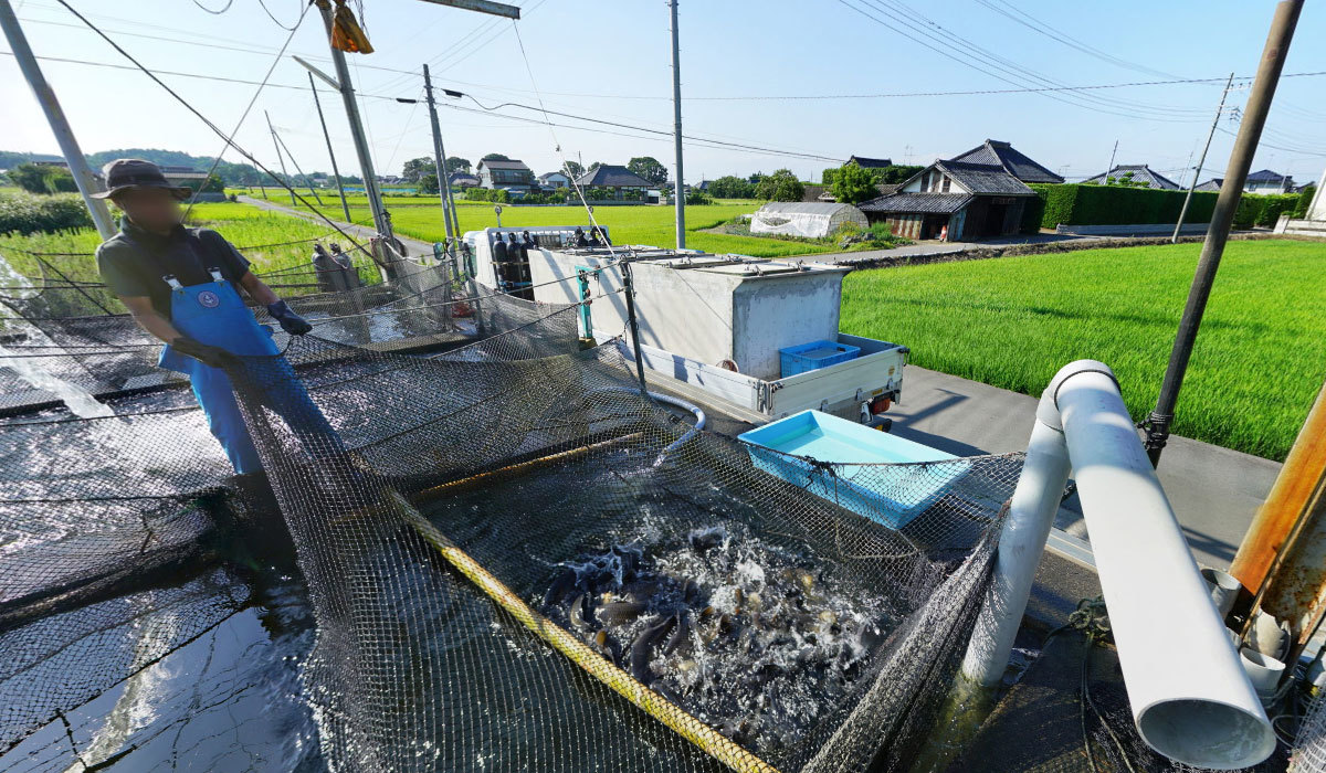 かすみがうら市おすすめスポットの山野水産