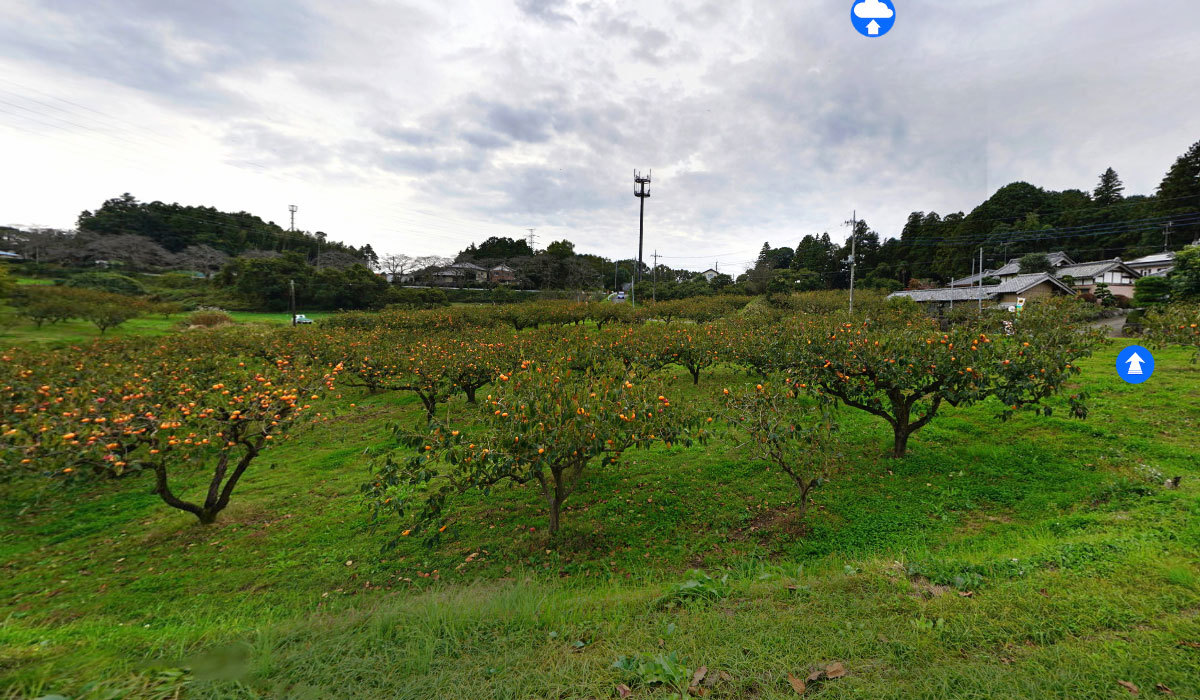 小美玉市おすすめ観光スポットの山内果樹園