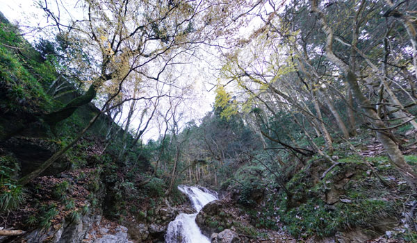 常陸太田市のおすすめ紅葉スポット横川の下滝