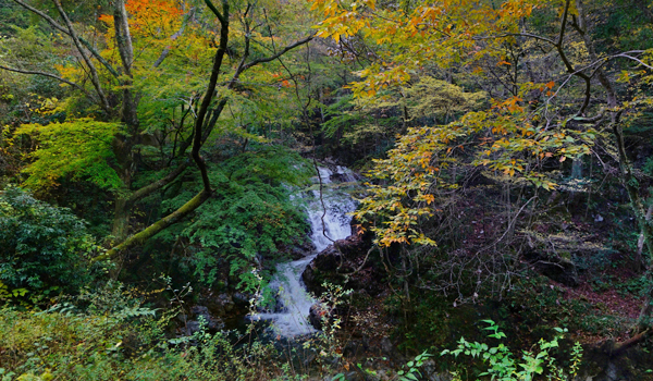 茨城県常陸太田市おすすめ滝スポットの横川の下滝