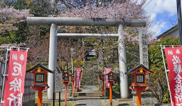 水戸市の桜おすすめ観光スポットの吉田神社