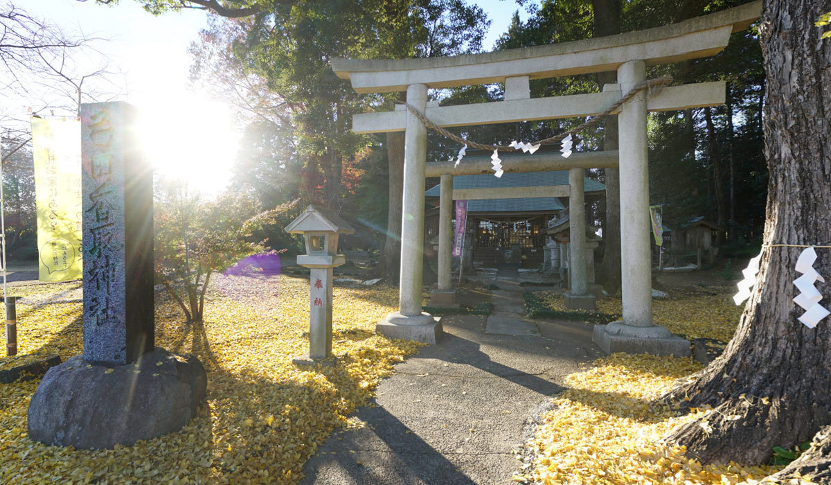 坂東市おすすめ観光スポットの弓田香取神社の案内VRツアー