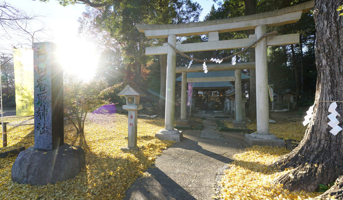 坂東市の神社おすすめスポット弓田香取神社