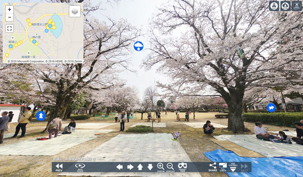 結城市の城跡歴史公園の桜VRツアー