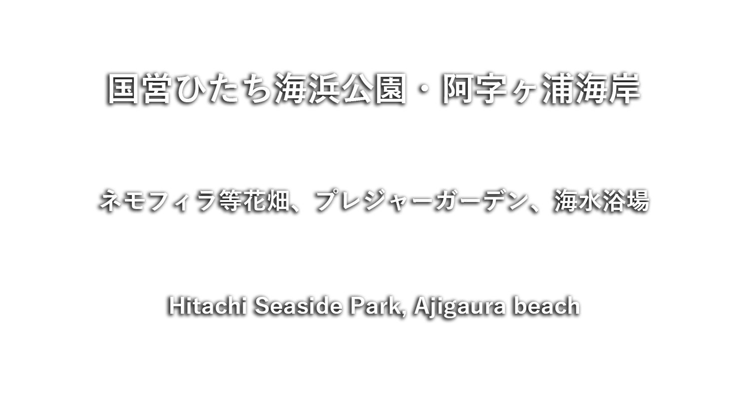 国営ひたち海浜公園・阿字ヶ浦海岸