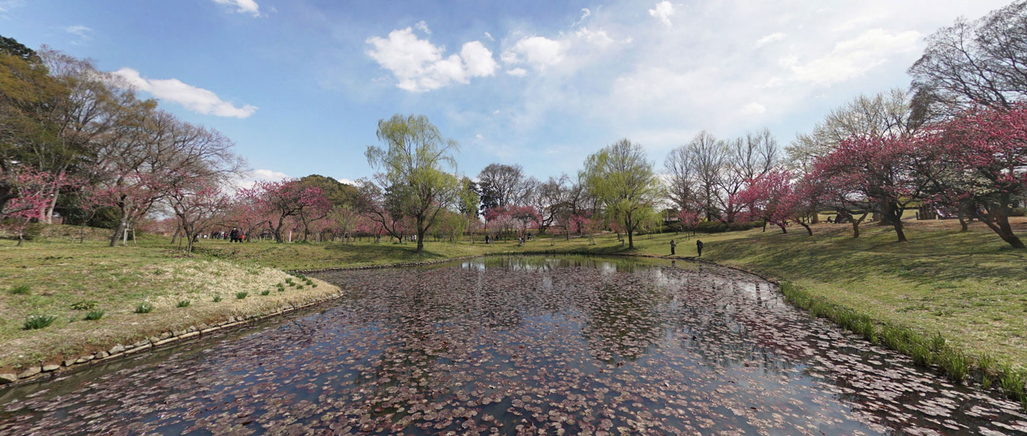茨城県の観光名所の古河公方公園360°VRツアー