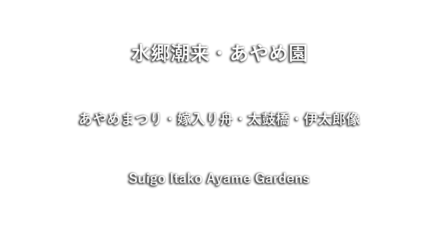 水郷潮来・あやめ園