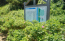 茨城県鉾田市の鹿島灘海浜公園のハマナスロードのハマナスの花