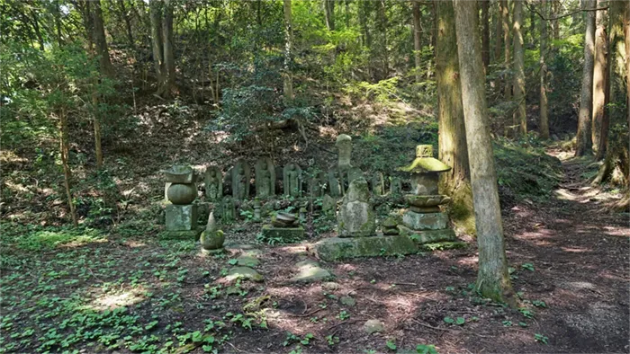 Scenic photos of the group of stone Buddha statues and stone pagodas at the Komyoji Temple ruins on Mount Tsukioi in Daigo Town, and a link to a VR tour.