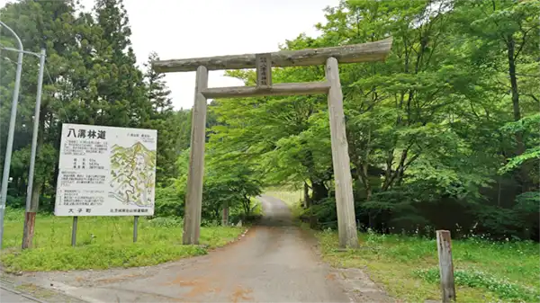 Link to scenic photos and a VR tour of Yamizo Forest Road in Daigo Town