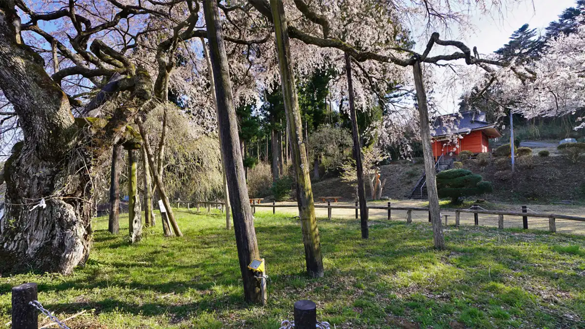 小生瀬地蔵桜と子安地蔵堂等周辺の景観写真とVRツアー