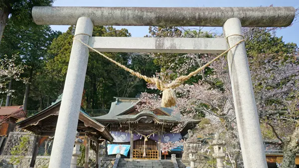 Precincts of Juni-sho Shrine in Daigo Town, cherry blossom blooming scenery, and VR tour link