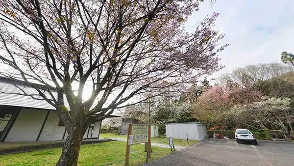 奥久慈憩いの森管理事務所の桜開花景観写真とVRツアーリンク