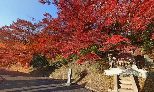 Photos of the autumn foliage scenery near the entrance to the approach of Eigenji Temple in Daigo Town and a VR tour link