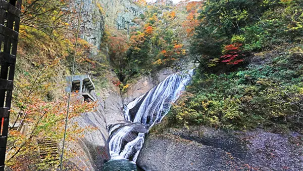 Autumn foliage scenery photos of Fukuroda Falls in Daigo Town, Ibaraki Prefecture, and VR tour link