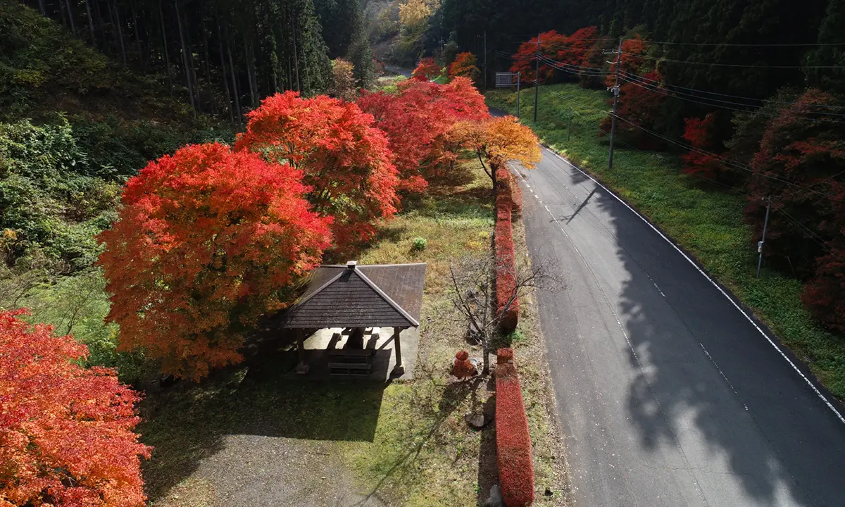 大子町の八溝嶺神社大鳥居付近のもみじラインの紅葉VRツアー