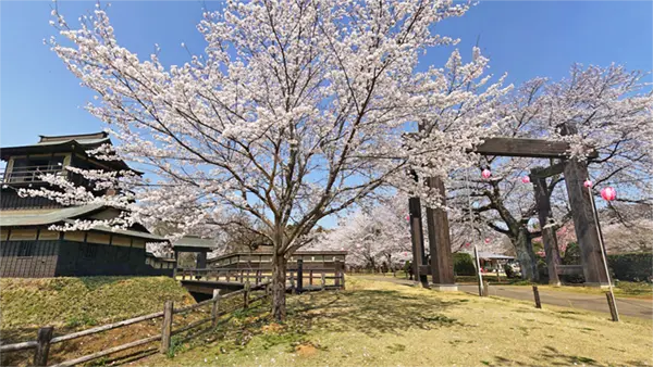 坂東市観光名所の逆井城跡公園
