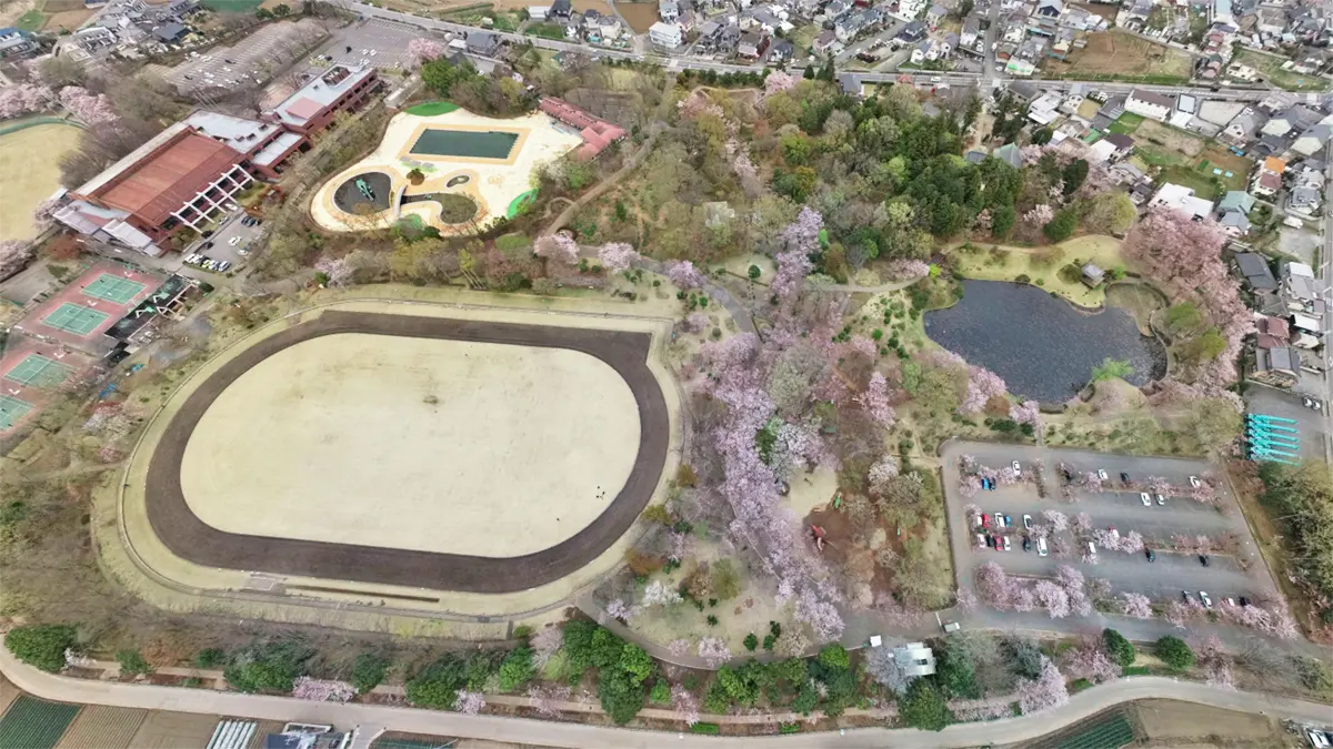坂東市の八坂公園の空撮景観写真とVRツアーのリンク