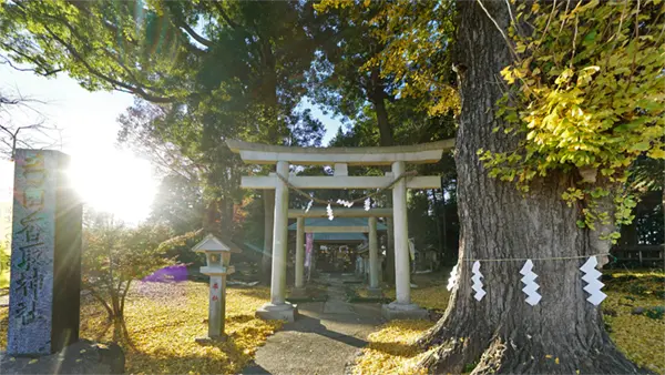 坂東市おすすめ観光スポットの弓田香取神社の案内VRツアー