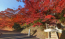茨城県大子町の紅葉寺の永願寺のもみじ
